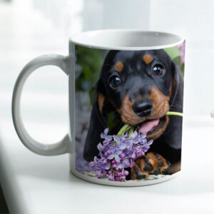 customized mug 11 oz